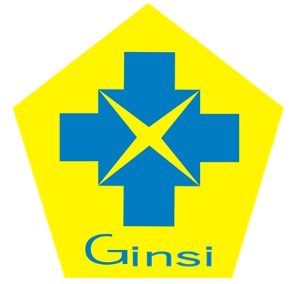 Ginsi_logo